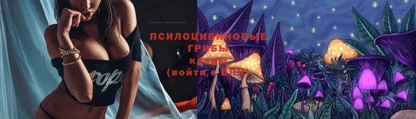 скорость Арсеньев