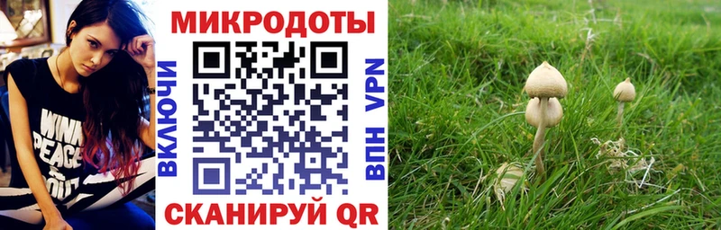 сайты даркнета официальный сайт  как найти наркотики  Мыски  Галлюциногенные грибы GOLDEN TEACHER 